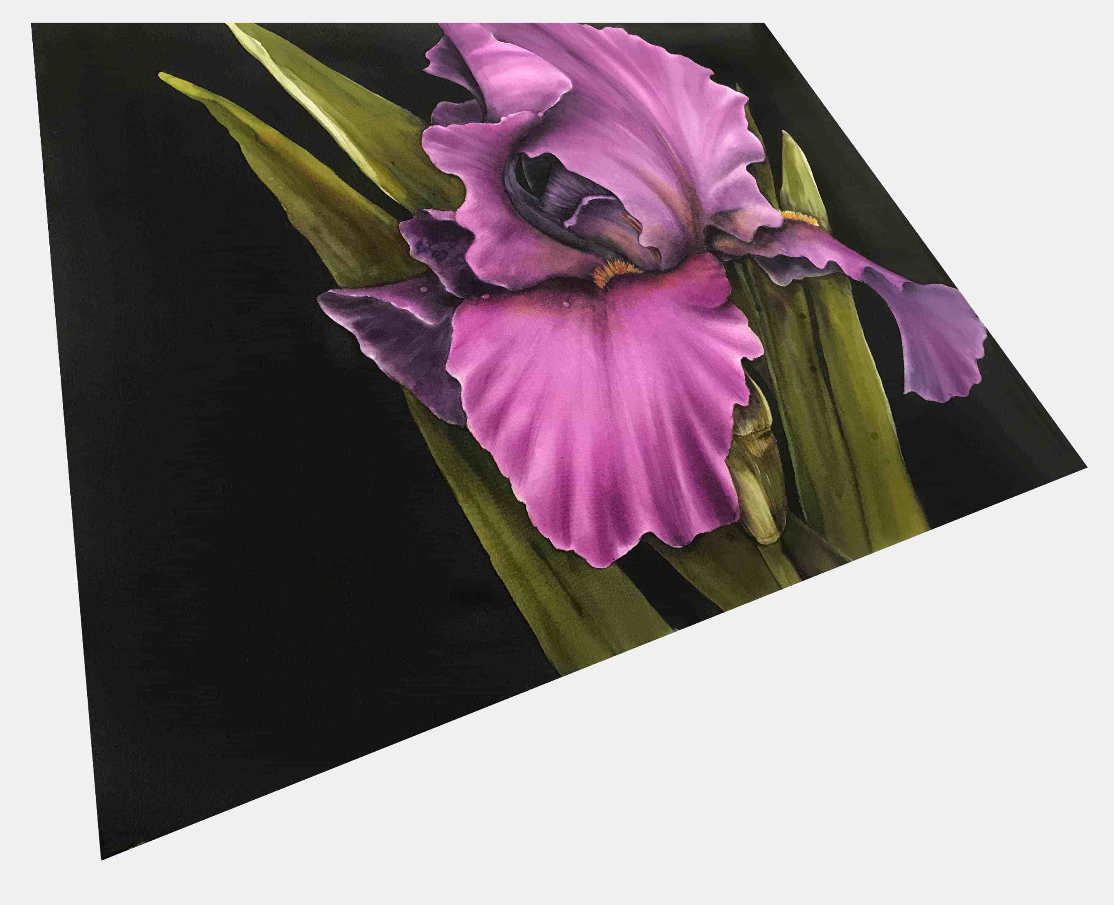 Iris #1 Digital Pattern Designed for a 20" x 24" Canvas